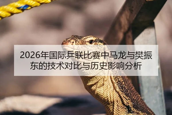 2026年国际乒联比赛中马龙与樊振东的技术对比与历史影响分析