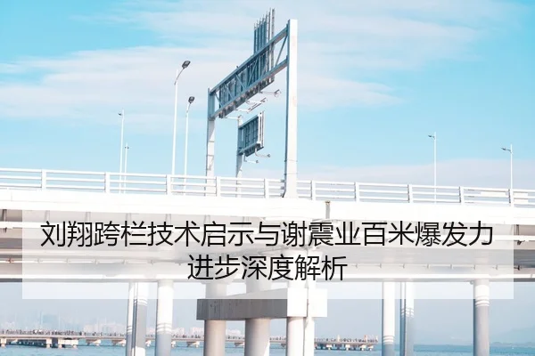刘翔跨栏技术启示与谢震业百米爆发力进步深度解析