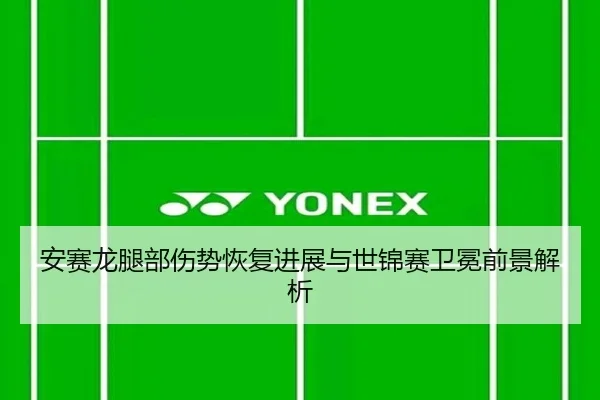 安赛龙腿部伤势恢复进展与世锦赛卫冕前景解析