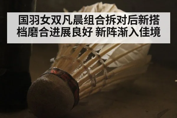 国羽女双凡晨组合拆对后新搭档磨合进展良好 新阵渐入佳境